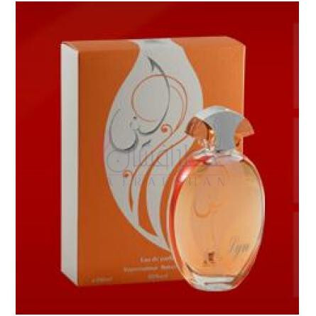 Lyn-عربین عود لین