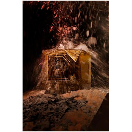 ANKA-ورتوس انکا