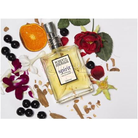 Spirit-رابرتا اندراده اسپریت