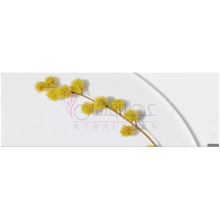 Happy Limited Edition 2022-کلینیک هپی ادیشن 2022