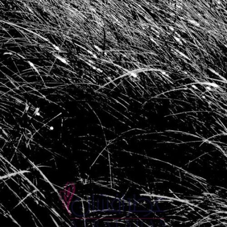 Accord No. 01: NAGARMOTHA-اِی ای آر سنتس آکورد نو. ۰۱ : ناگارموتها ( آکورد شماره ۰۱ ناگارماتها )