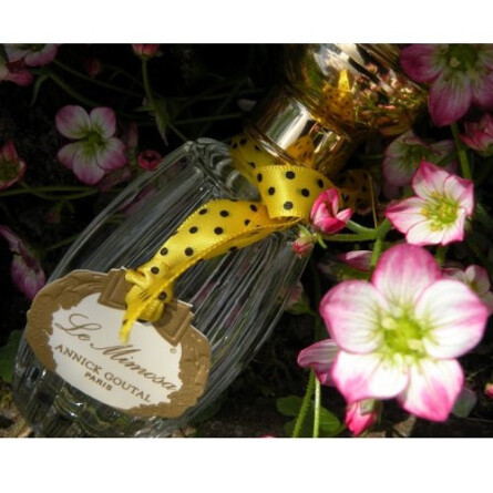 Le Mimosa-آنیک گوتال له میموسا