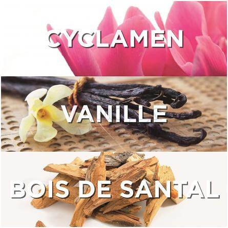 Possesion-او ژن پوسیژن