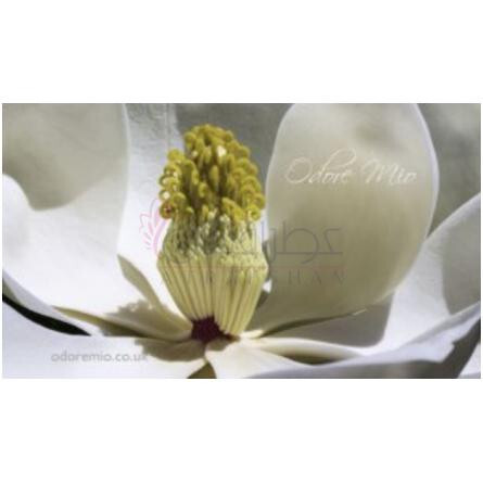White Magnolia-اودور میو وایت مگنولیا