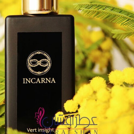 Vert insight-اینکارنا پارفومز ورت این‌سایت