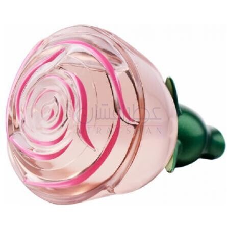 Volare Moments-اوریف لیم وولاری مومنتس