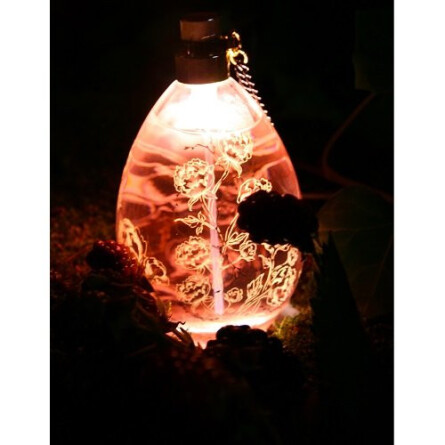 Petale Noir-ایجبنت پروواکتر پتاله نویر