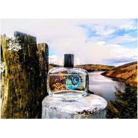 Jasmin Perle de Thé-فراگونارد جاسمین پرل دی ته