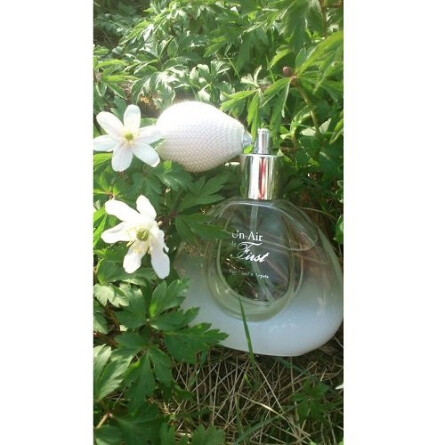 Un Air de First-ون کلیف اند آرپلس آن ایر د فرست