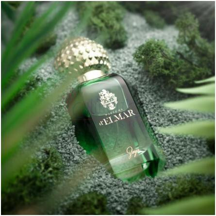 Zaya-پارفومز دلمار زایا