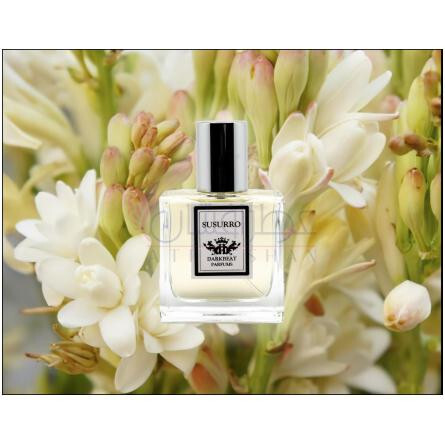 Susurro-دارک بیت پارفومز سوسورو