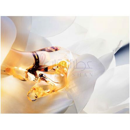 J'adore Parfum d'Eau-دیور جادرو پارفوم دلئو