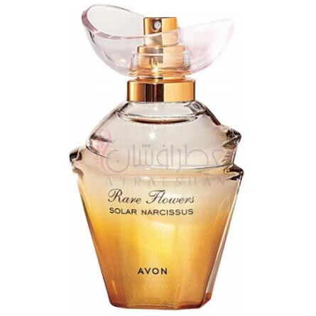 Rare Flowers Solar Narcissus-اوان ریر فلاورز سولار نارسیس
