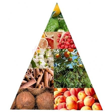 Aromatic Spices + Jasmine-برومی اروماتیک اسپایس اند جاسمین