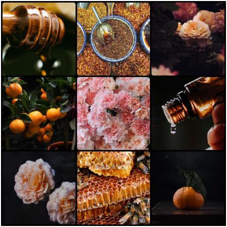 Divincarnation-آنت نوفر دیواین کارنیشن