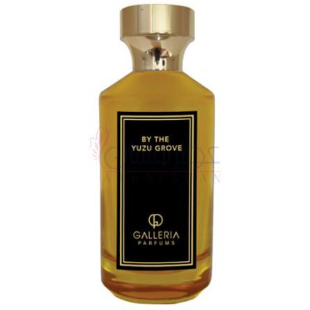 By the Yuzu Grove-گالریا پارفومز بای د یوزو گروو