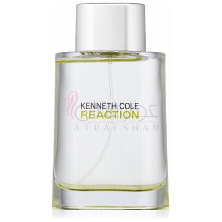 Reaction-کنت کول ری اکشن