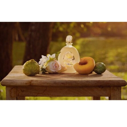 Aire Atardecer-لووه ایره آتاردسر