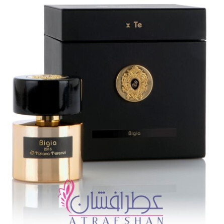 Bigia-تیزیانا ترنزی بیجیا
