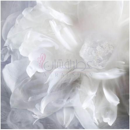 New Look 2024-دیور نیو لوک 2024