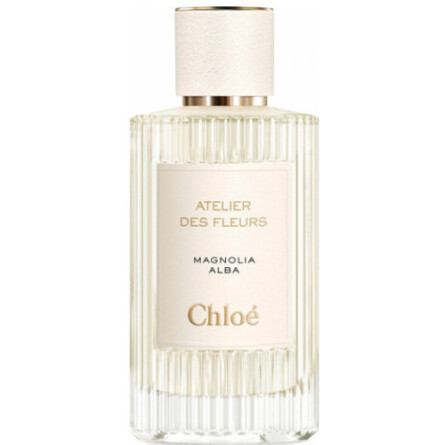 Magnolia Alba-کلوهه مگنولیا البا