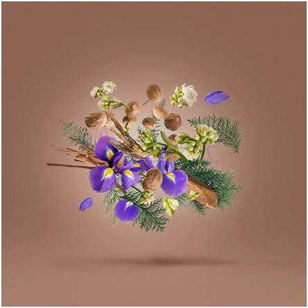 Aridal-زرجوف اریدال