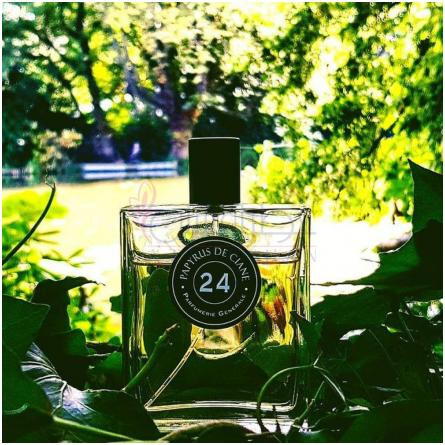 Papyrus de Ciane 24-پیر گیوم پاریس پاپیروس دی سیان 24