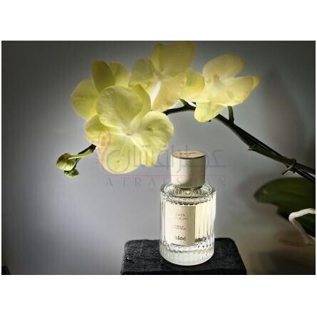 Vanilla Planifolia-کلوهه وانیلا پلنیفولیا