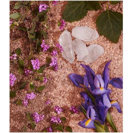 Daisy Love Paradise Limited Edition Eau de Toilette-مارک جاکوبز دیزی لاو پارادایس ادیشن ادوتویلت