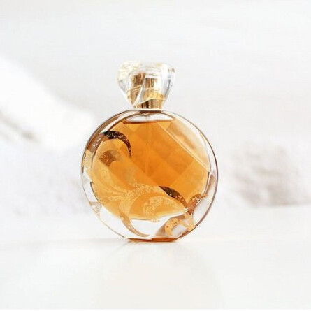 Untold Luxe-الیزابت آردن آنتولد لوکس