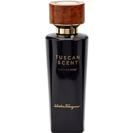 Leather Rose-سالواتوره فراگامو لیدر رز
