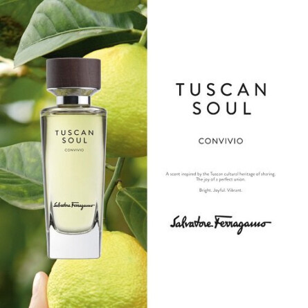 Convivio-سالواتوره فراگامو کونویویو