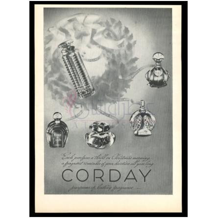 Orchidée Bleue-کوردی ارکید بلو