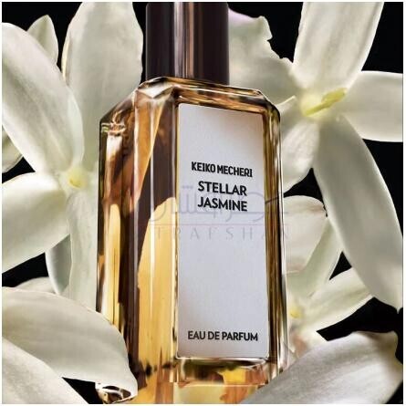 Stellar Jasmine-کیکو مچری استلر جاسمین