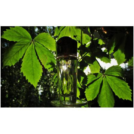 S.T. Dupont pour Femme-اس تی دوپونت پور فمه