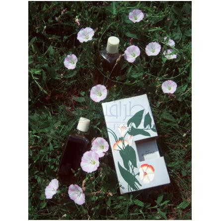 Podarochnye-نوول ایتویل پاداروچنی