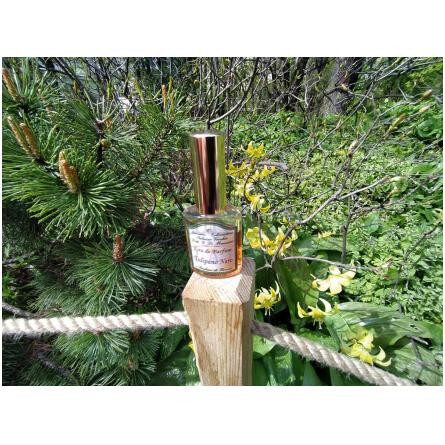 Tulipano Nero-آی پرفوموی دی فیرنز تولیپانو نرو