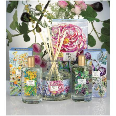 Beau de Provence-فراگونارد بو د پروونس