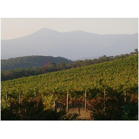 Kalgoorlie-بود پارفومز کالگورلی