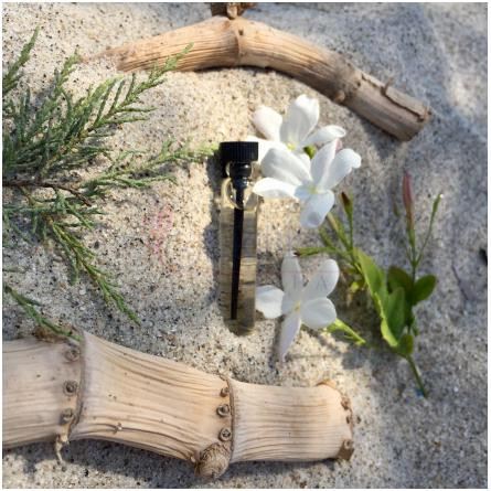 Namaste!-فسالونیکا ناماستی