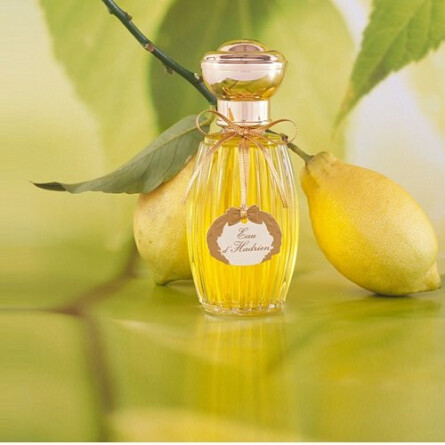 Eau d'Hadrien-آنیک گوتال او د هدرین