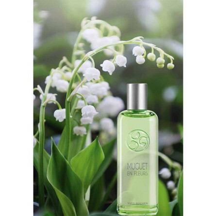 Muguet En Fleurs-ایو روشه موگت ان فلورز