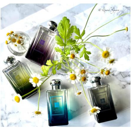 London Rain Wisteria & Violet-جو مالون لندن رین ویستریا اند ویولت