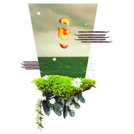 Seven Islands-بمبئی پرفیومری سون ایسلندز