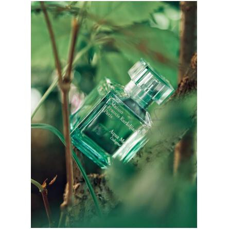 Aqua Media Cologne Forte-میسون فرانسیس کورکجان اکوا مدیا کلن فورته