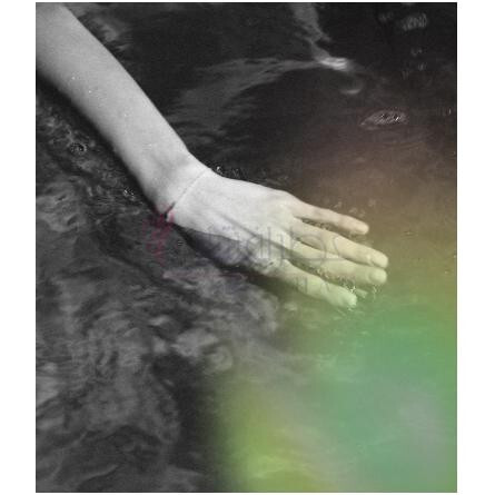 Freedom-پیور سنس فریدام