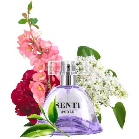 Senti #Soar-دیلیس پارفوم سنتی سوار