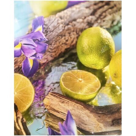 Oceania Parfum-روژا داو اوشنیا پارفوم