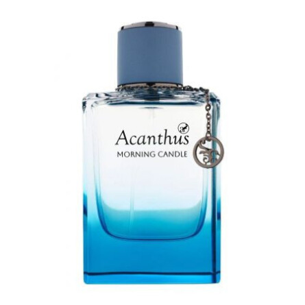 Morning Candle-آکانتوس مرنینگ کندل