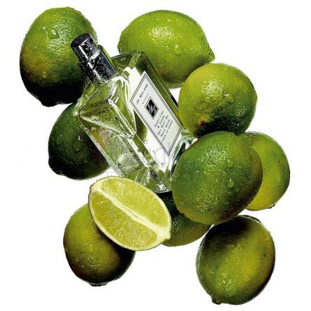 Sweet Lime & Cedar-جو مالون سوییت لایم اند سدر